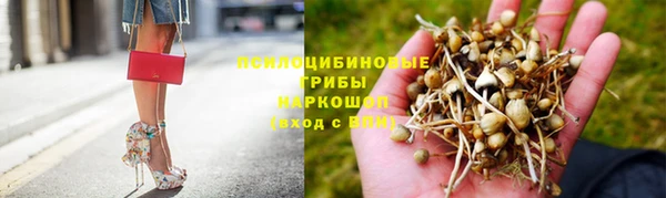 МДПВ Ельня