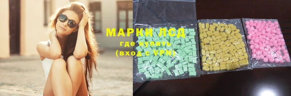 spice Елизово