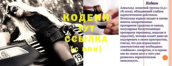 МДПВ Ельня