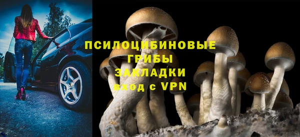 МДПВ Ельня