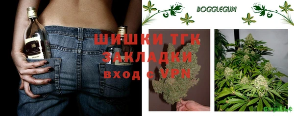 МДПВ Ельня