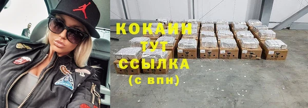 МДПВ Ельня