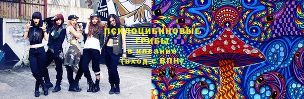 ECSTASY Елабуга