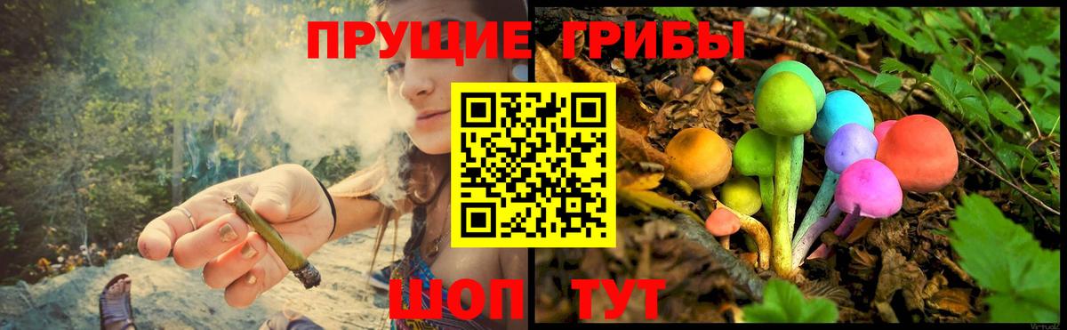 Ишимбай  Галлюциногенные грибы мицелий  Вход с VPN  Псилоцибиновые грибы Psilocybe 
